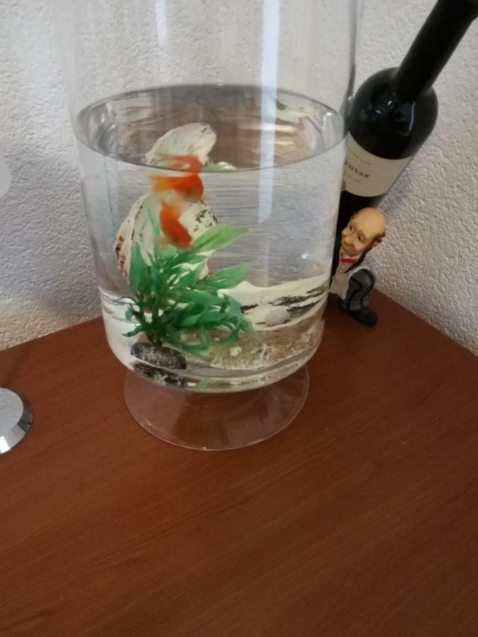 Radun Apartman Split Kültér fotó